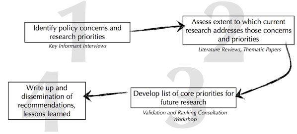 Figure 3: The Four "big-picture" Steps in Participatory Priority-Setting Methods at the Regional Level