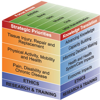 Figure 1: IMHA's focus areas, priorities and KT goals