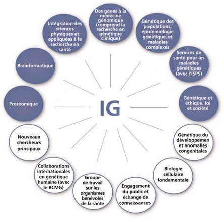 Comité de planification et des priorités et groupe de travail de l'IG